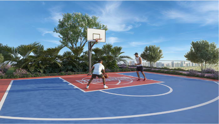 Basketball Court