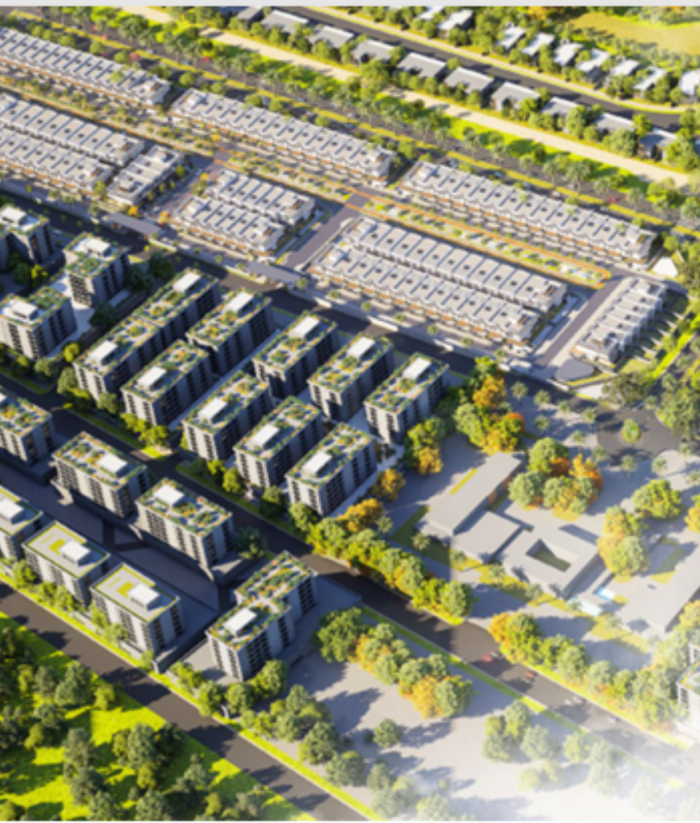 Untitled design - 2025-08-12T152632.243